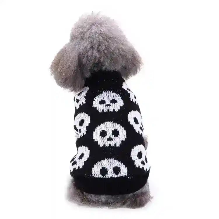Gray poodle wearing a black sweater with white skull patterns on a white background