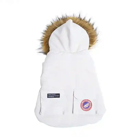 White dog winter jacket with fur-lined hood and front pockets on white background