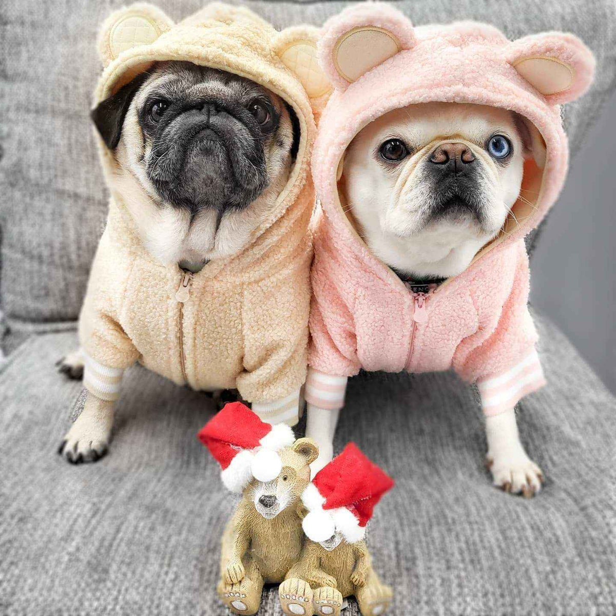 Felpa per Cani in Pile "Fleece" Cappuccio e Orecchie Morbida e Calda by Dog Moda