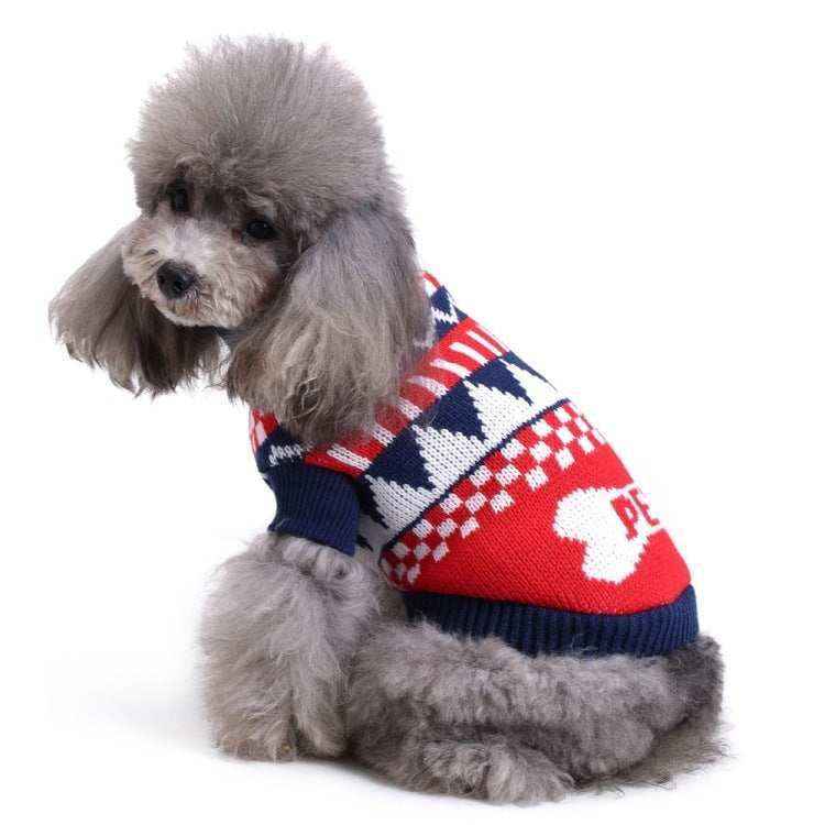 Gray poodle wearing red, white, and blue knitted dog sweater with geometric pattern on white background