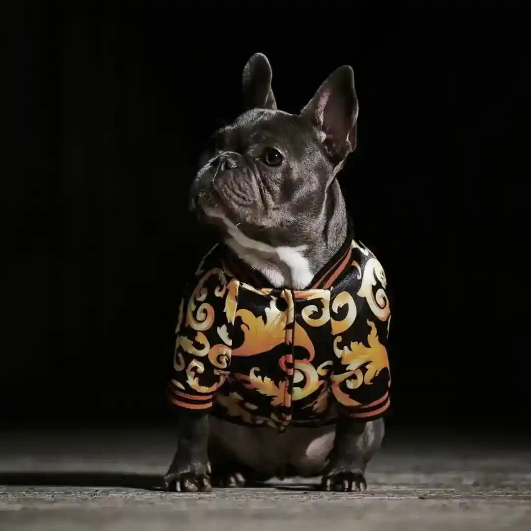 Giacca Antivento per Cani Stile Versace "The King" – Eleganza e Protezione per il Tuo Amico a Quattro Zampe by Dog Moda