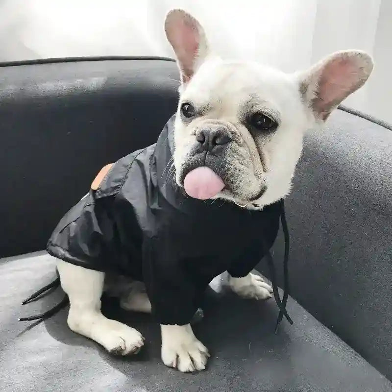 Impermeabile per cani "Raincoat Star" by Dog Moda