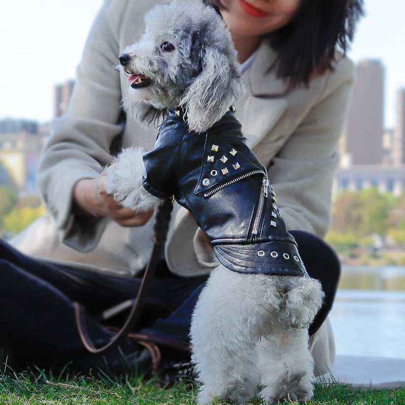 Giubbottino per cani in pelle "Grease" by Dog Moda