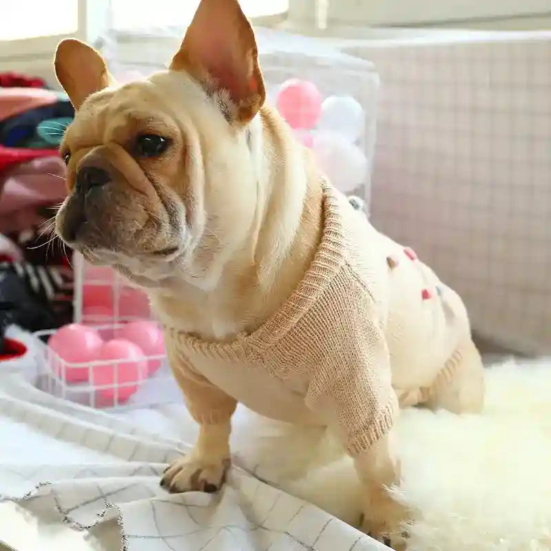 Maglione per cani ricamato con Babbo Natale 3d by Dog Moda