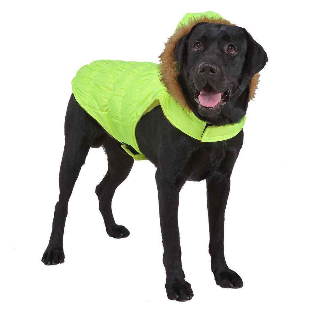 Cappotto per Cani Imbottito in Pile con Cappuccio in Ecopelliccia - Eleganza e Calore per il Tuo Amico a Quattro Zampe by Dog Moda