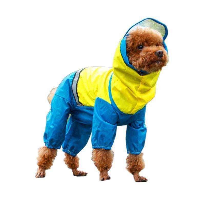 Small dog wearing a blue and yellow waterproof raincoat with hood and reflective strip