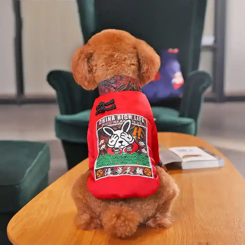 Brown poodle dog wearing a red Chinese-style jacket sitting on a wooden table indoors