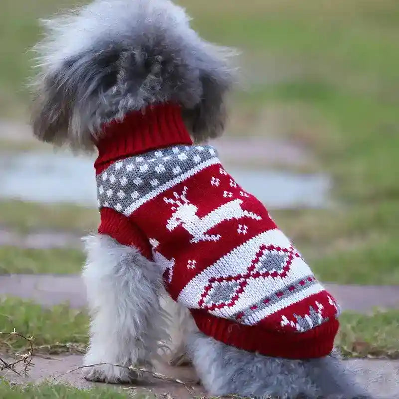 Maglioncino per Cani "Indianapolis" a Righe con Giraffa, Caldo ed Elastico by Dog Moda
