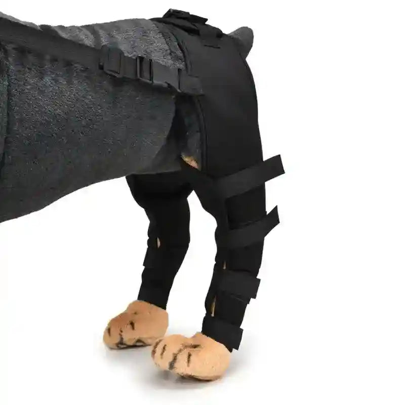Tutore di Supporto per Zampe Posteriori del Cane – Stabilità e Comfort per una Guarigione Ottimale by Innopet