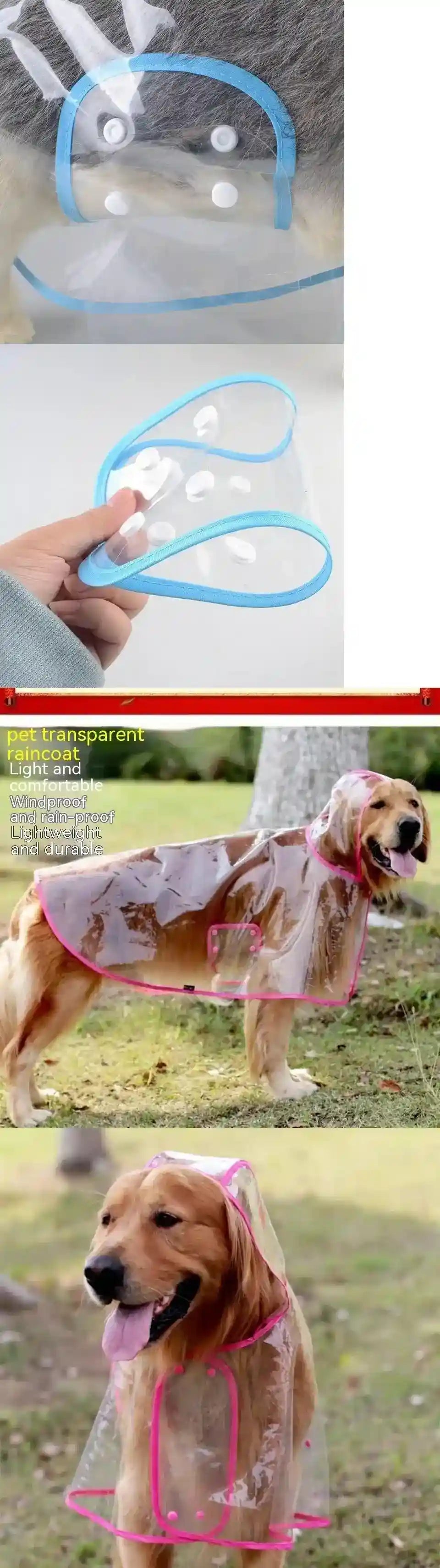 Transparent pet raincoat with blue trim and snap buttons, shown on a golden retriever outdoors