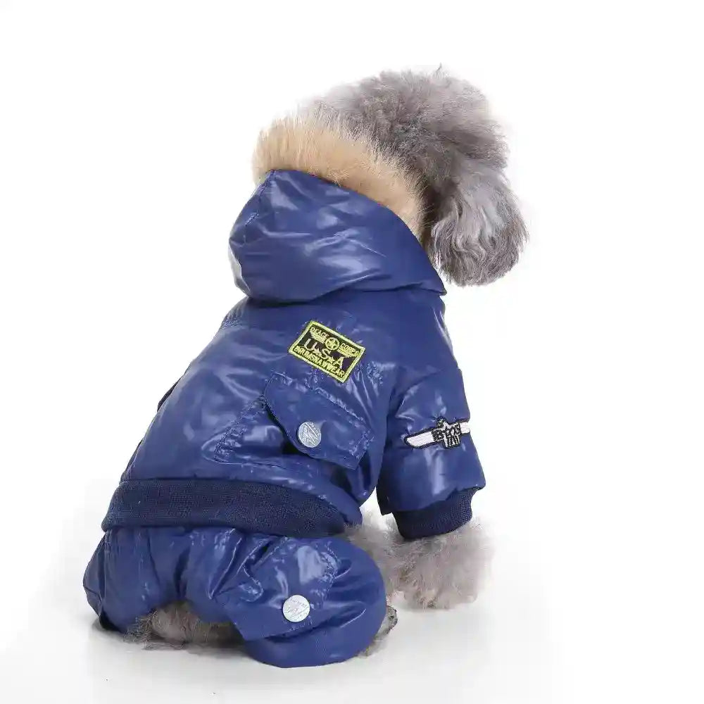 Small gray poodle wearing blue waterproof dog jacket and pants with hood and patches