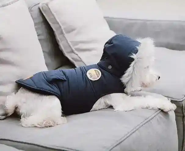 Cappottino per cani imbottito in pile con cappuccio TouchDog by Dog Moda