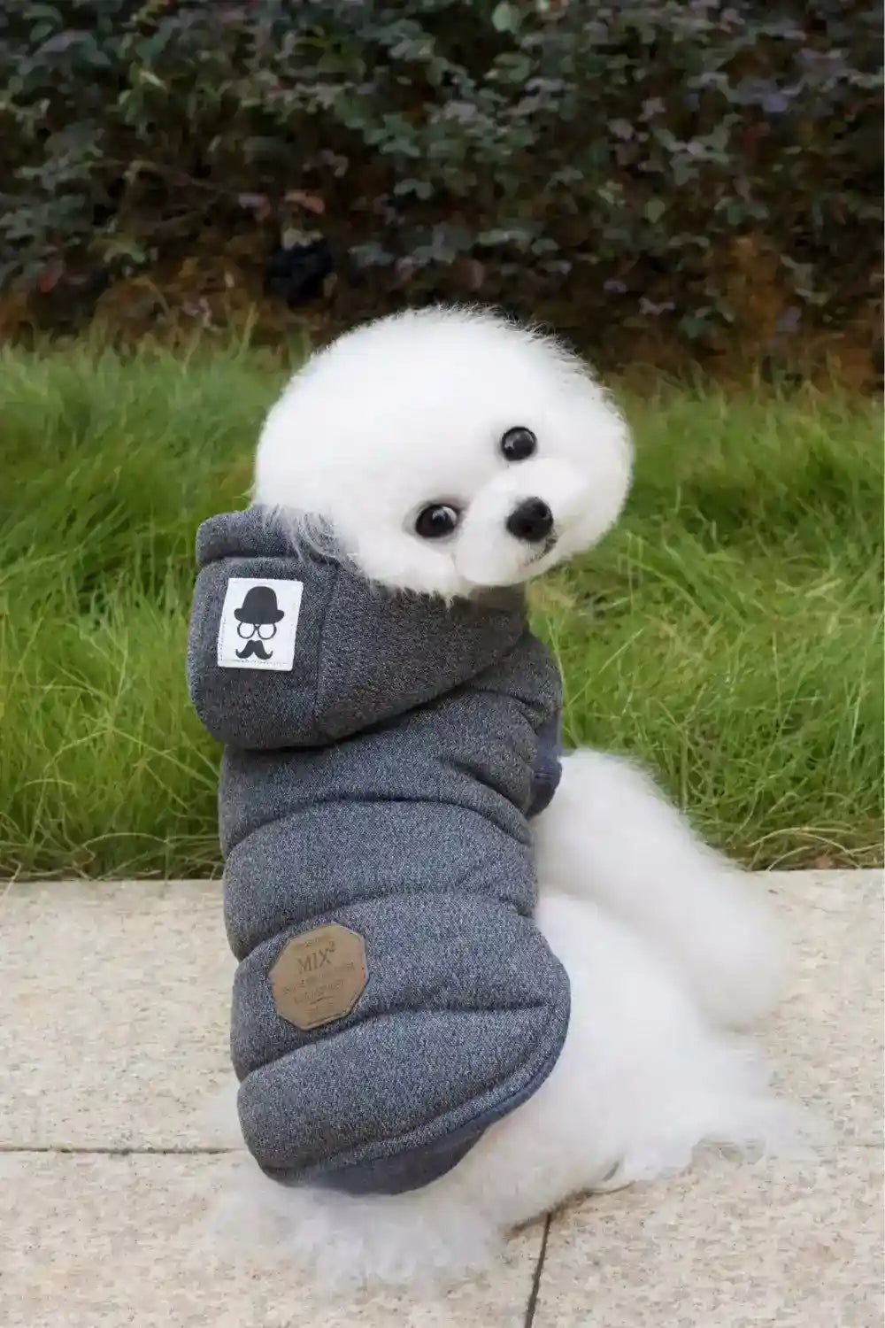 Cappotto per Cani Mustache con Cappuccio - Imbottito Caldo by null