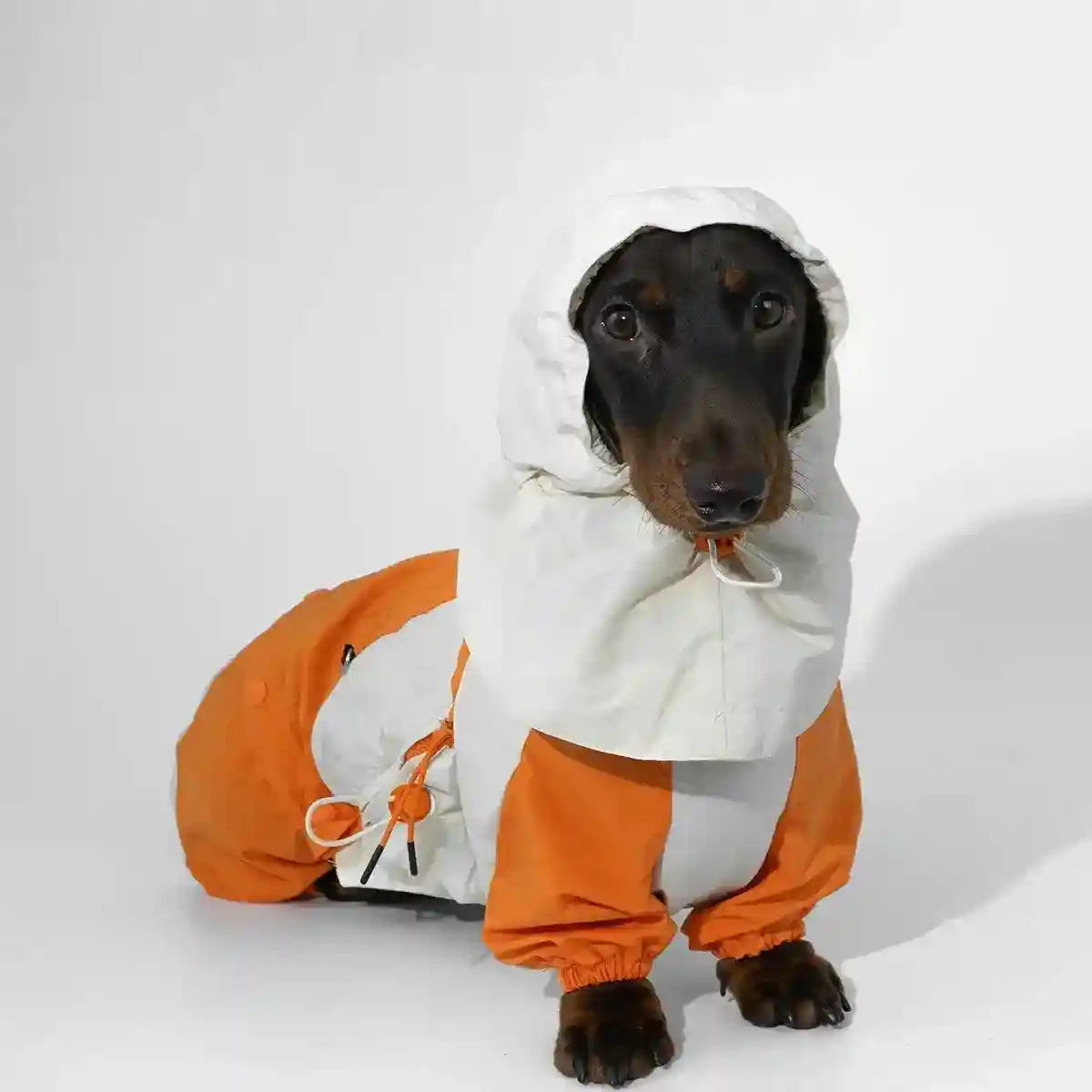Impermeabile per Bassotto - Protezione Totale 4 Zampe Antipioggia by Dog Moda