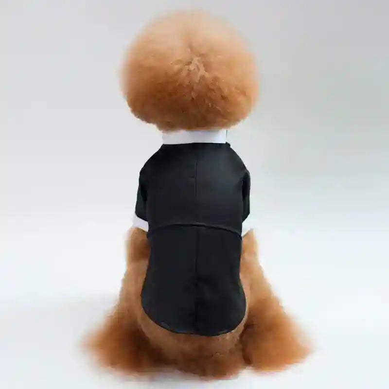 Smoking vestito cerimonia per cani "Filippo" by Dog Moda