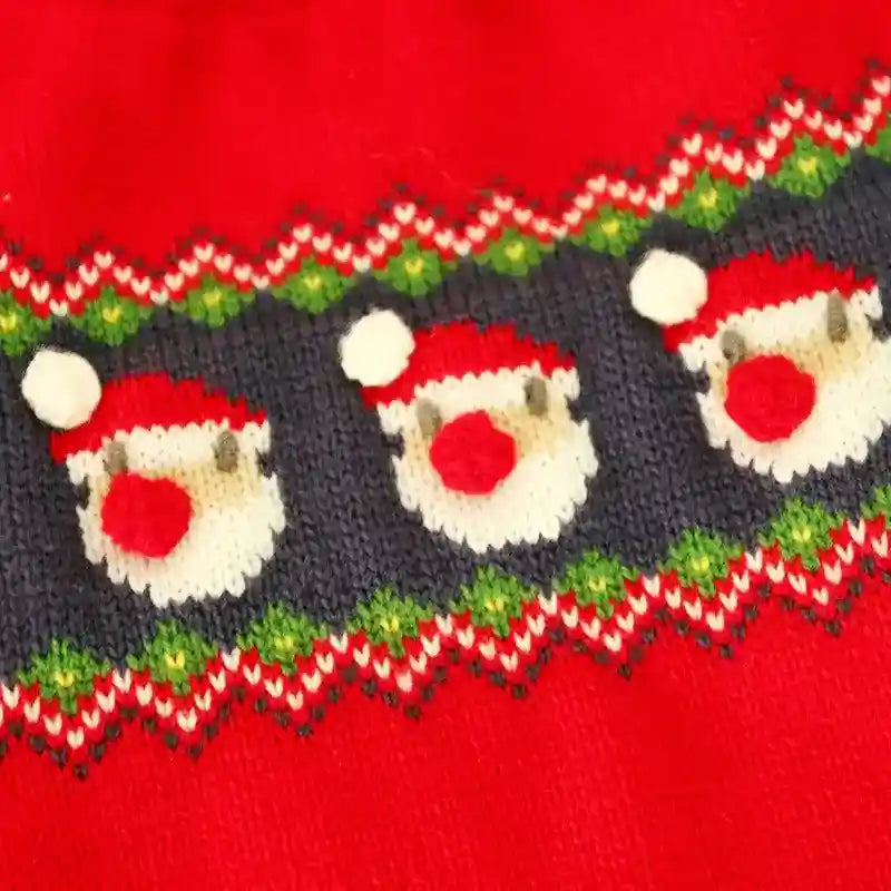 Maglione per cani ricamato con Babbo Natale 3d by Dog Moda