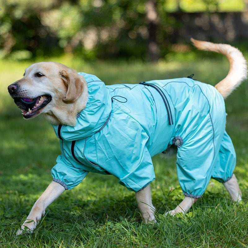 Golden retriever wearing light blue waterproof dog raincoat outdoors on grass
