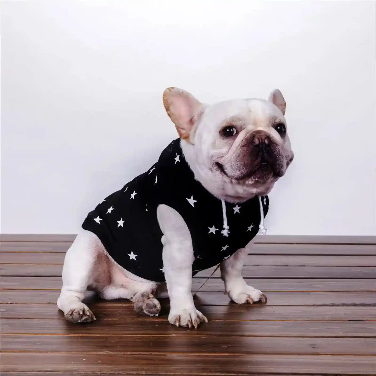 Felpa per cani con cappuccio "All Star" by Dog Moda