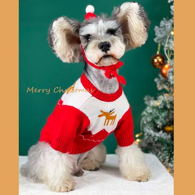 Reindeer Christmas Sweater for Dogs and Cats – Perfect for the Holidays