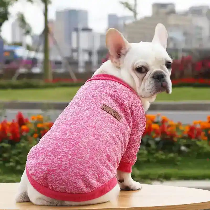 Maglioncino per Cani in Tinta Unita – Modello "Classic" - Dog Moda