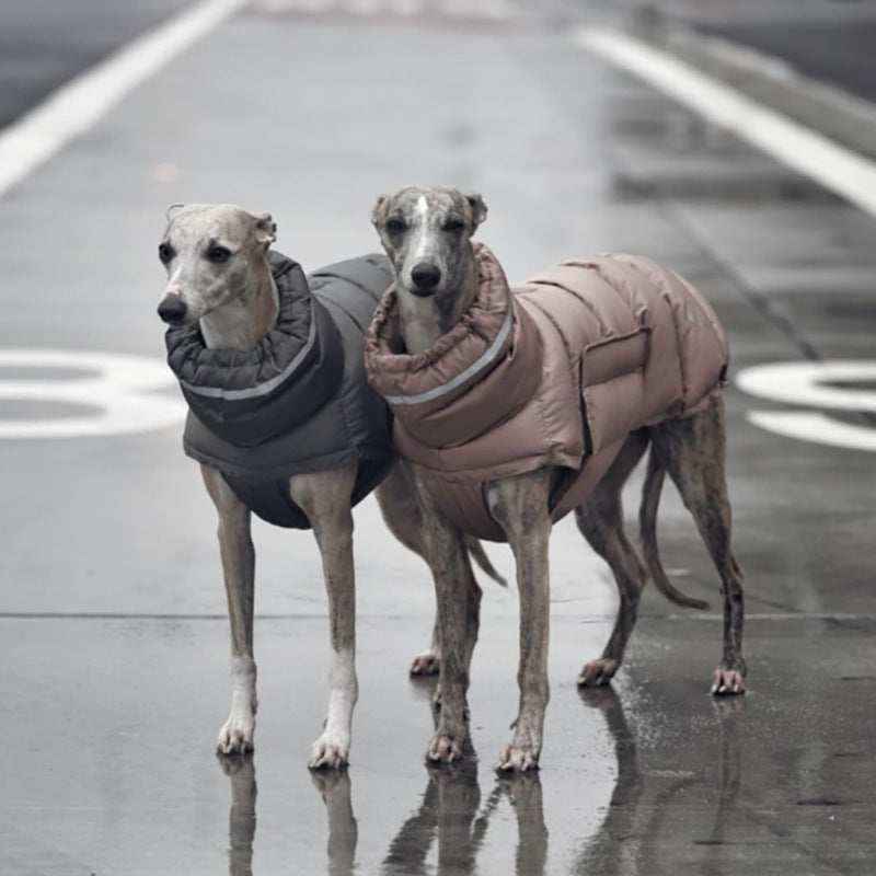 Piumino per cani imbottito antivento "Woom" by Dog Moda