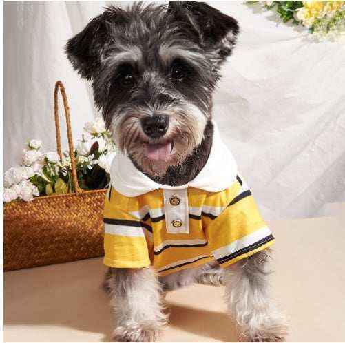 Small black and gray dog wearing a yellow striped polo shirt sitting near a wicker basket with white flowers