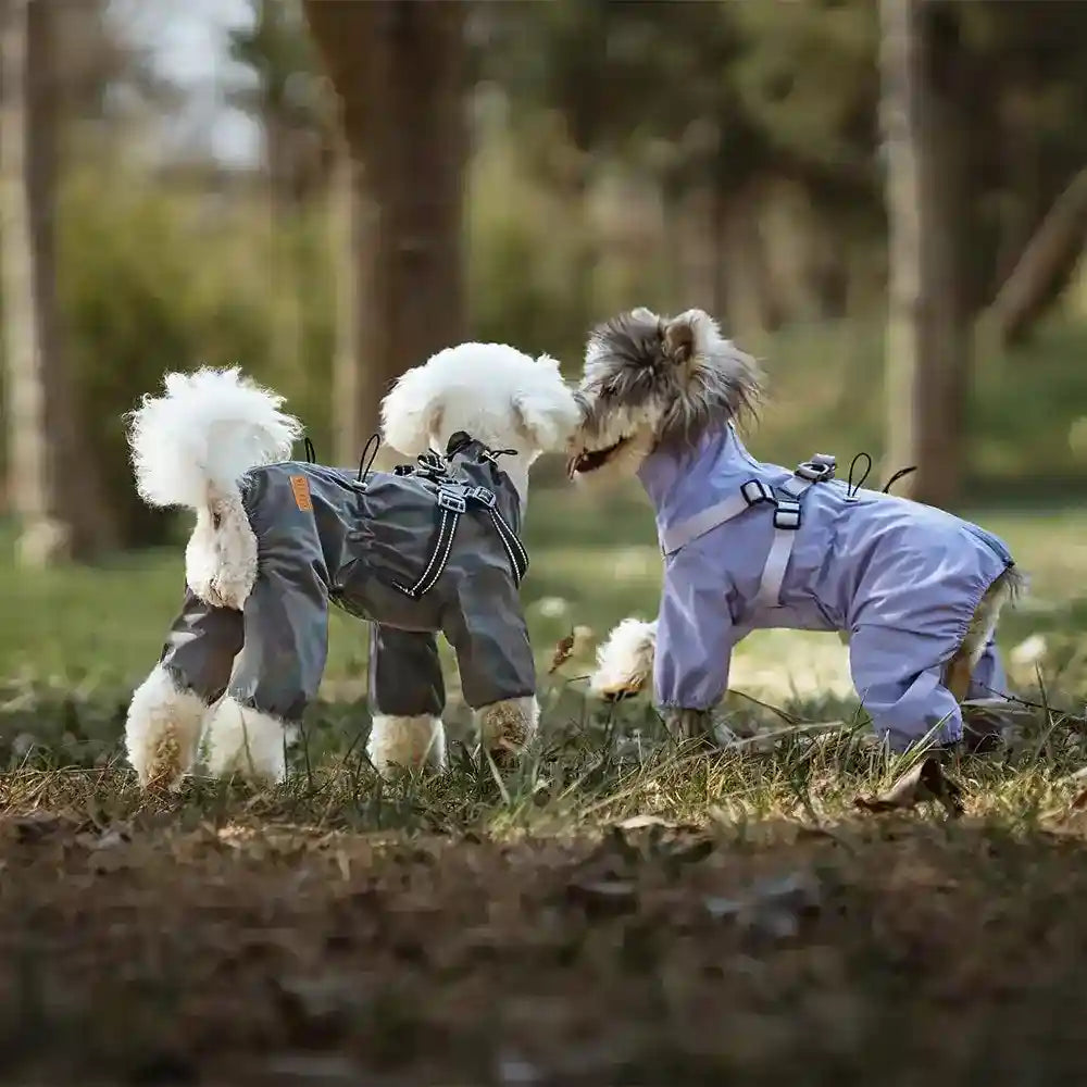 Impermeabile per Cani con Pettorina Riflettente "Playtime" Regolabile by Dog Moda