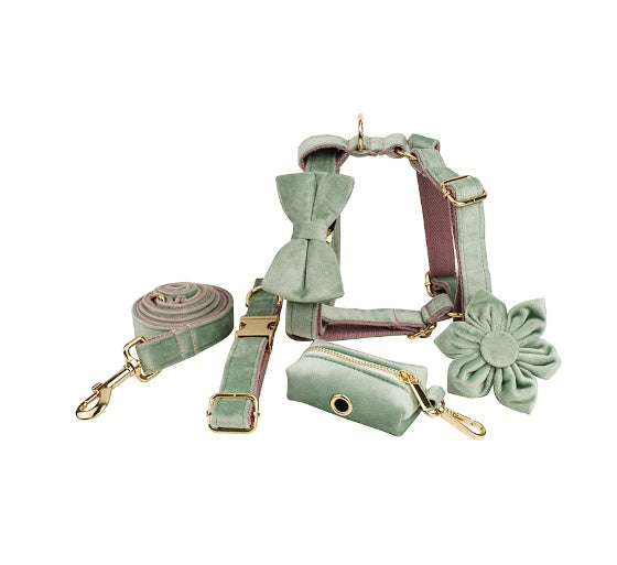 Set Pettorina ad H per Cani Modello "Velvet"