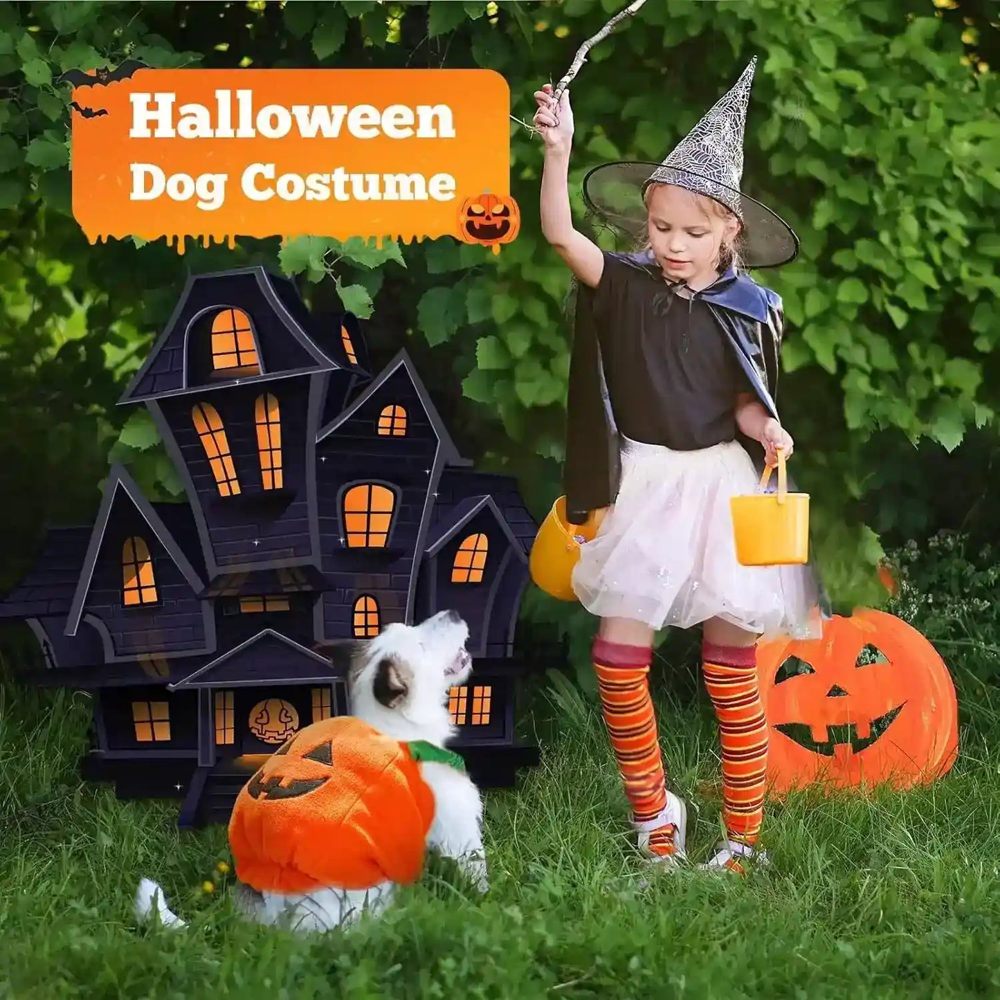 Little girl in witch costume with striped socks and dog in pumpkin Halloween costume outdoors