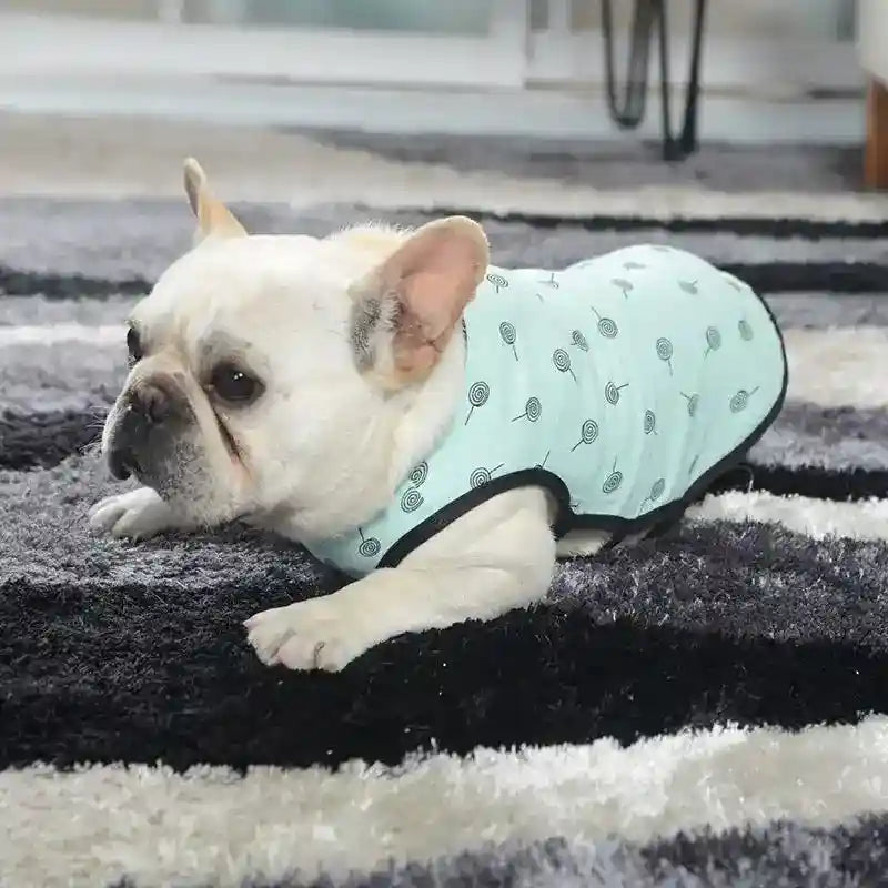 Canottiera per cani "Tofee" – Comfort e stile per il tuo Bulldog Francese by Dog Moda