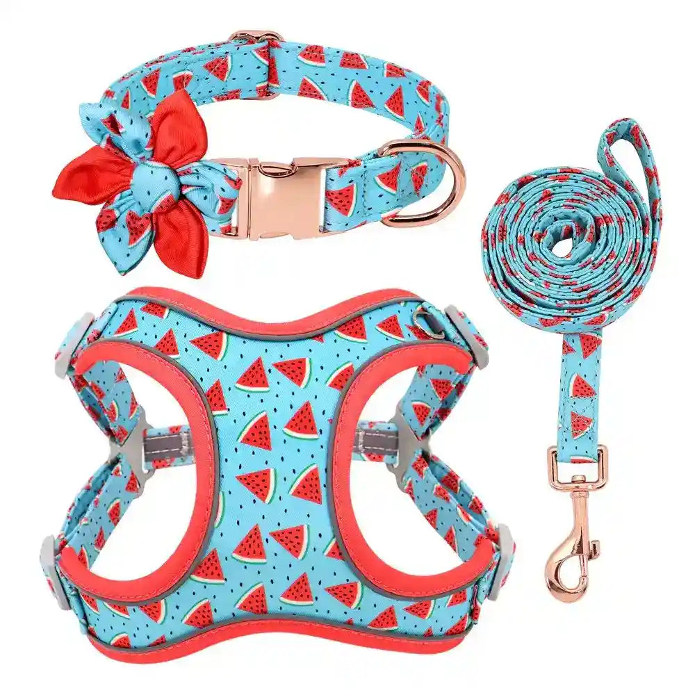 Pettorina per cani "Summer" set completo con collare - Cheepet by Dog Moda