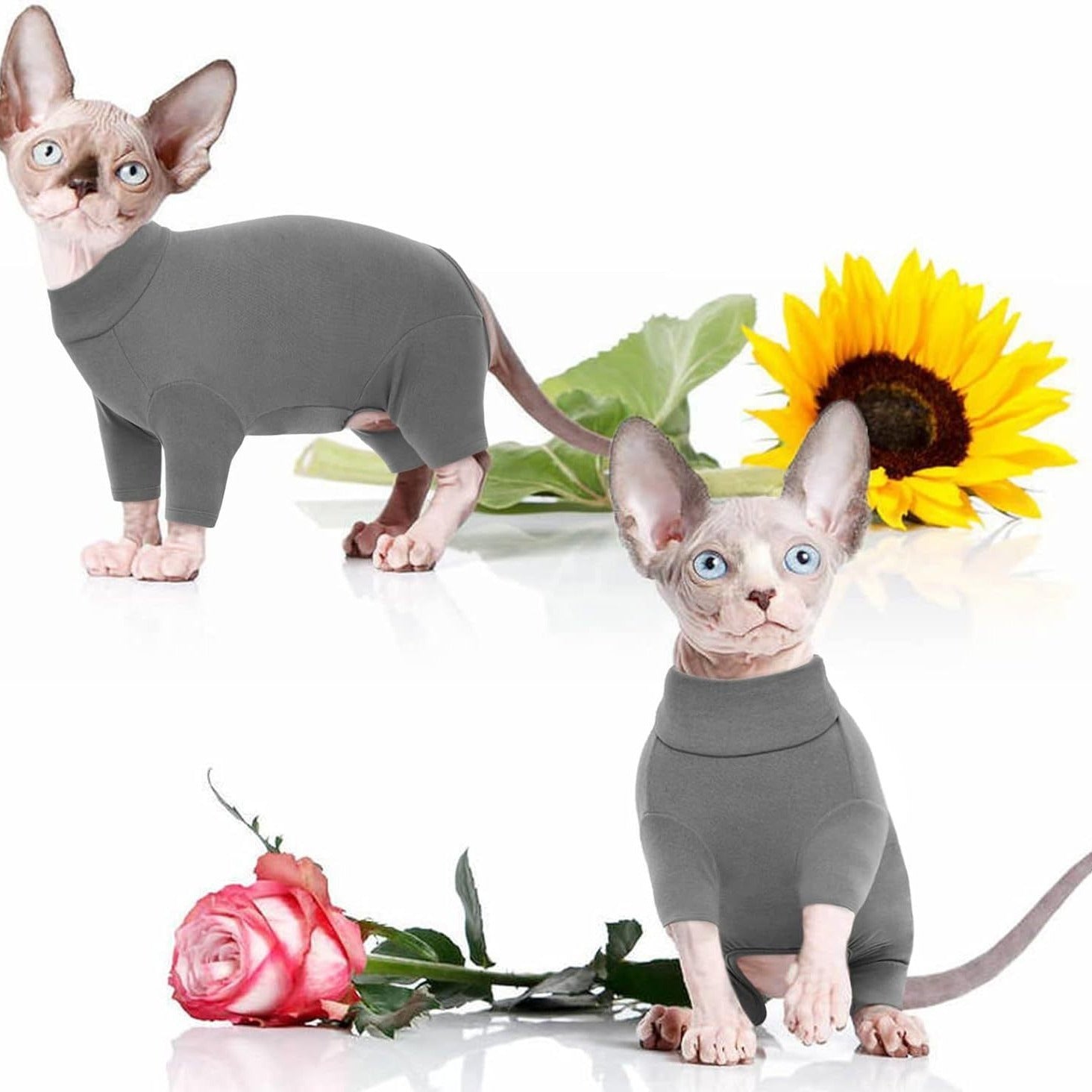 Soft Sweater for Hairless Cats - Comfort and Warmth for Sphynx and Others