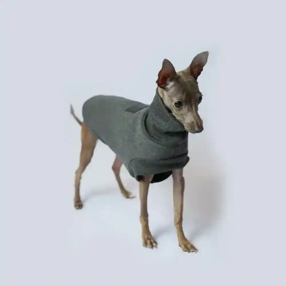 Felpa per Pinscher in flanella grigia modello "Milo" - Comfort e stile per il tuo amico a quattro zampe by Dog Moda
