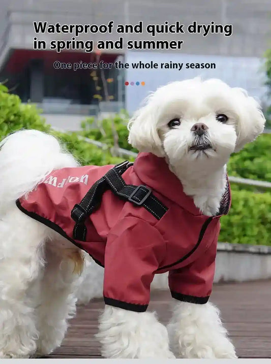 White small dog wearing red waterproof quick drying raincoat with harness outdoors