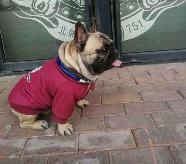 Cappotto per cani "Fly High" imbottito con pile e bottoni | DogModa by Dog Moda