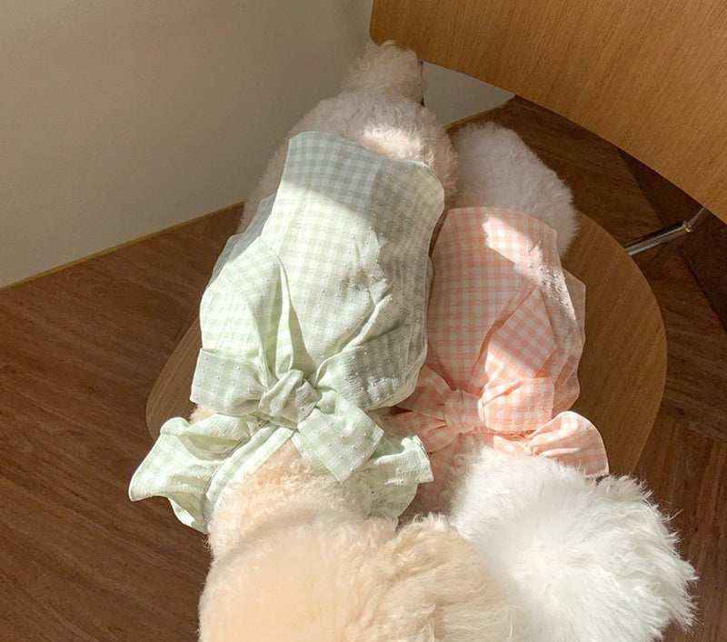 Two small fluffy dogs sitting on a wooden chair wearing pastel green and peach gingham dresses with bows