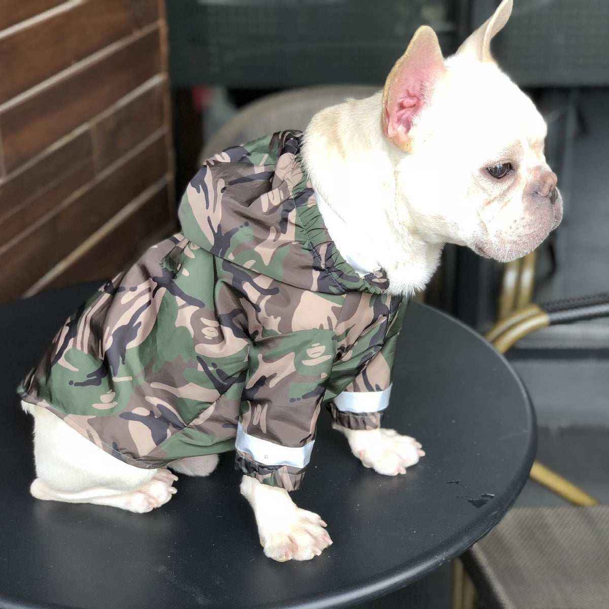 Impermeabile per cani e Bulldog francese riflettente "Manaus" by Dog Moda