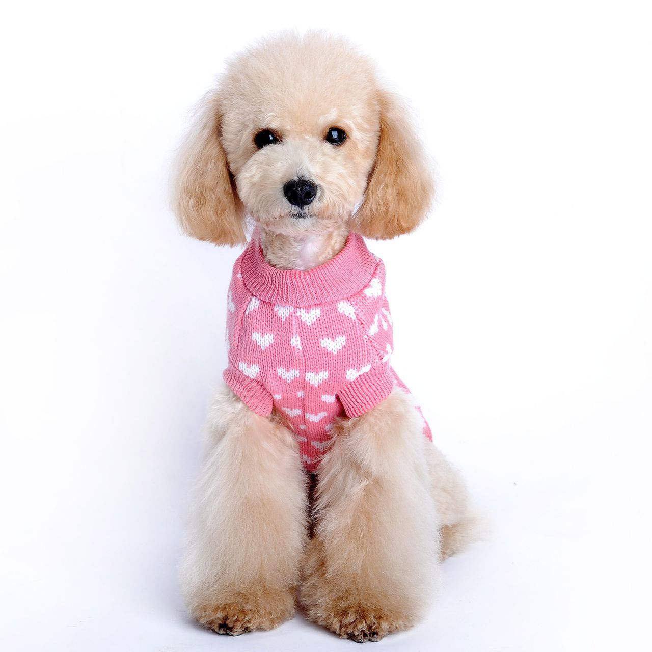 Maglioncino per Cani Modello "Sweety" – Rosa con Cuoricini Bianchi per Barboncini e Piccola Taglia