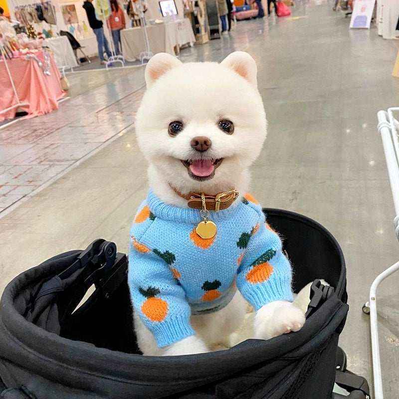 Maglione per cani fantasie di carotine by Dog Moda