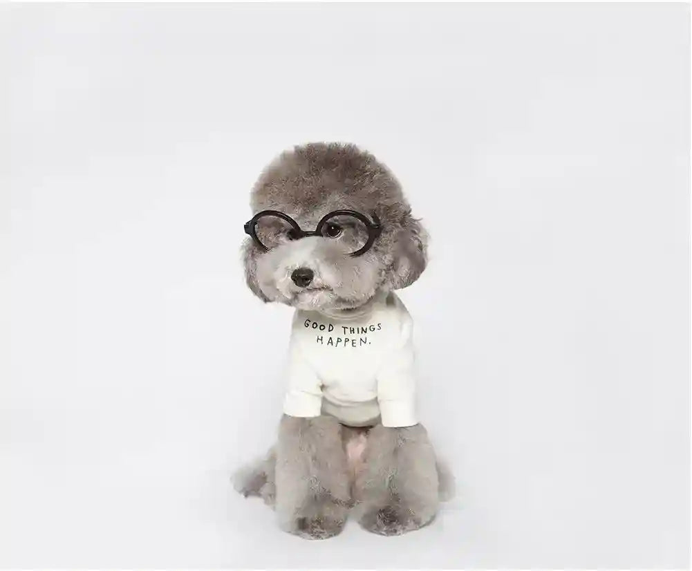 Maglietta in cotone per cani "Le cose belle accadono!" by Dog Moda