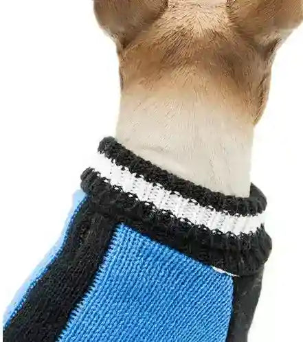 Back view of dog wearing a blue and black knit sweater with white-striped collar on white background