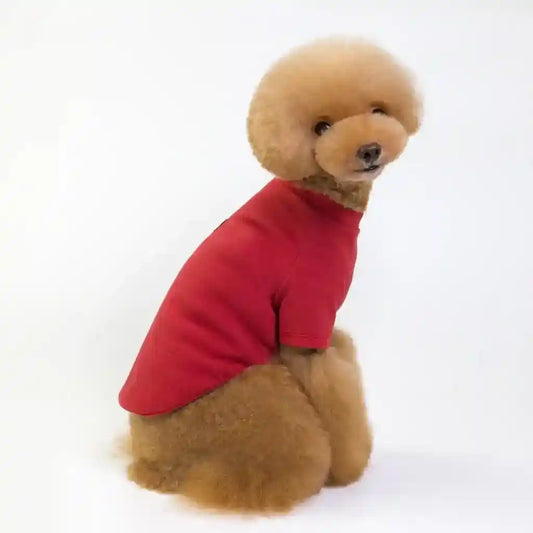 Maglietta Fashion per Cani – Stile Casual e Confortevole by Dog Moda