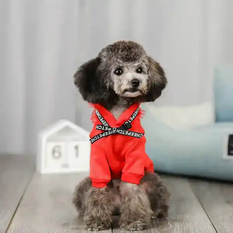 Felpina per Cani "Cheepet" con Cappuccio - Perfetta per Piccola Taglia by Innopet