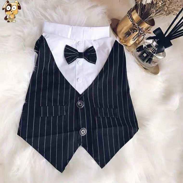 Vestito da cerimonia per cani elegante con papillon by Dog Moda