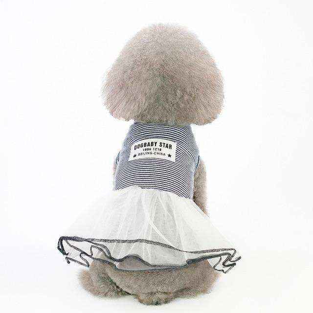 Small fluffy dog wearing striped blue top and white tulle skirt dress, back view