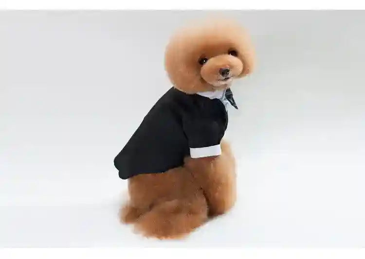 Smoking vestito cerimonia per cani "Filippo" by Dog Moda