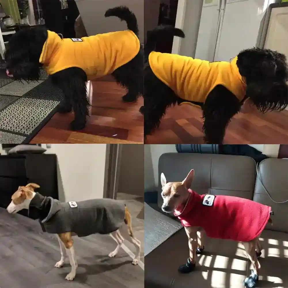 Felpa in pile per cani Paradiso con chiusura a velcro