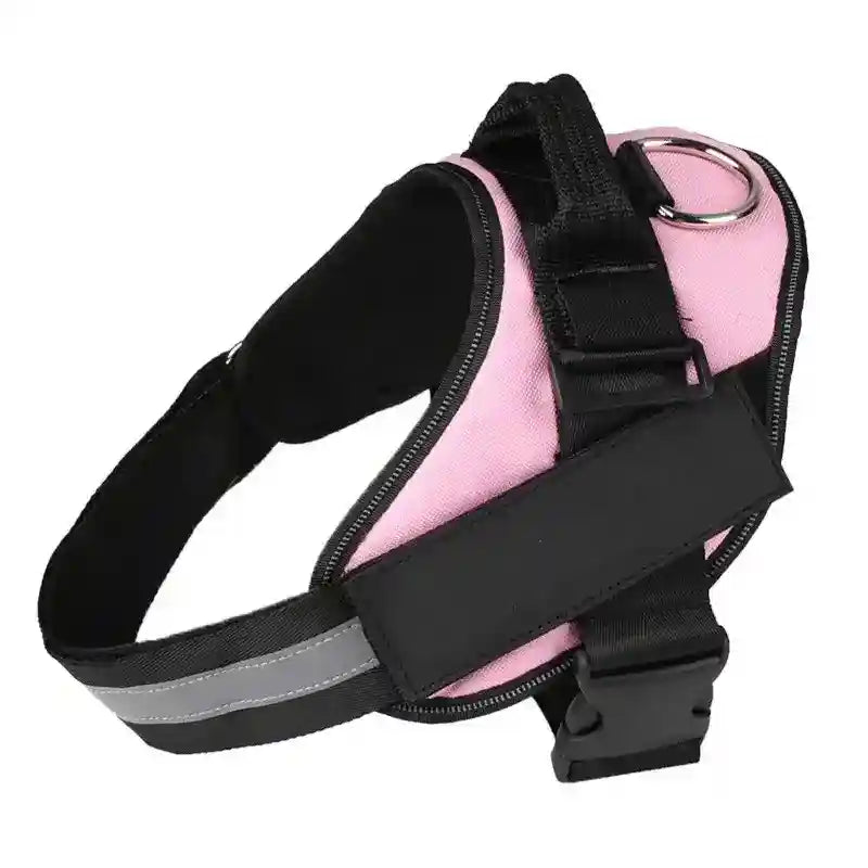Pettorina per Cani Personalizzabile - Dog Moda
