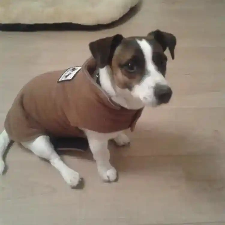 Felpa in pile per cani Paradiso con chiusura a velcro - foto 3