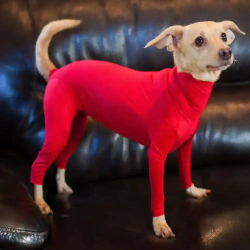 Tutina per cani taglia media e grande a 4 zampe con zip addome by Dog Moda
